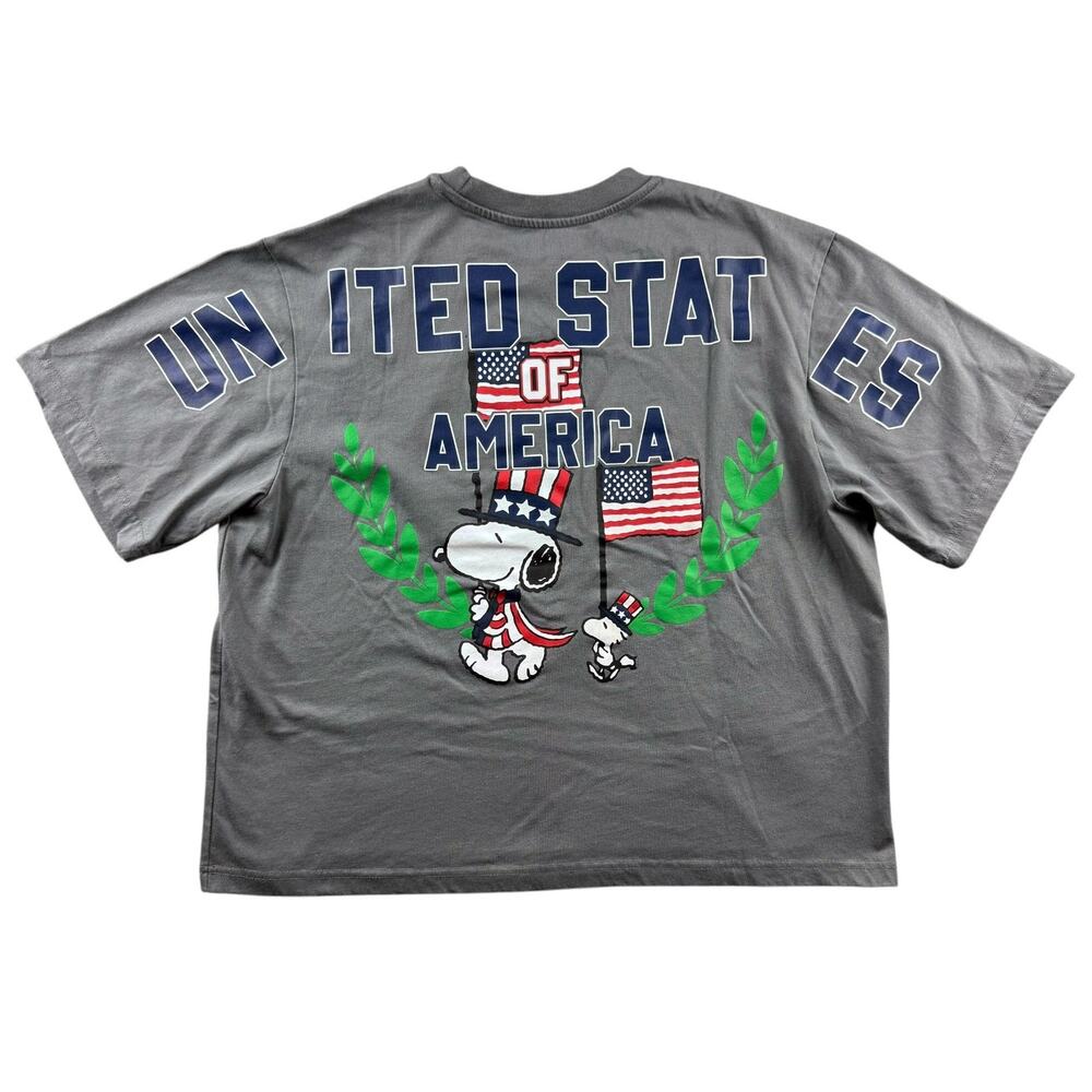 Peanuts Snoopy United Sates of America Graphic T-shirt Gray Boxy Fit Large